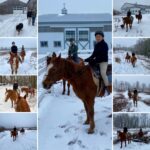 bridle hill farm horse back2