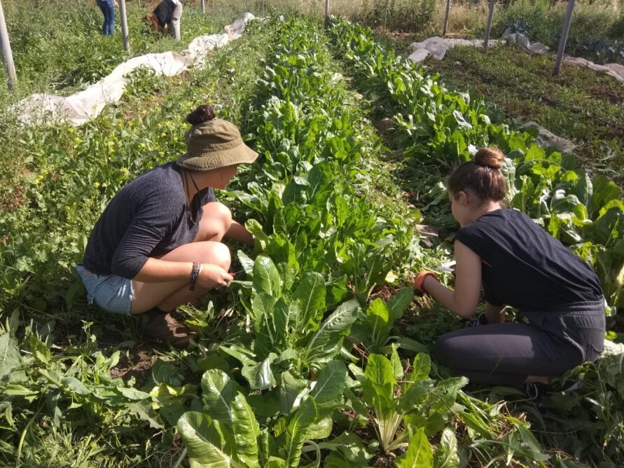 Agricultural Workshops and Tours