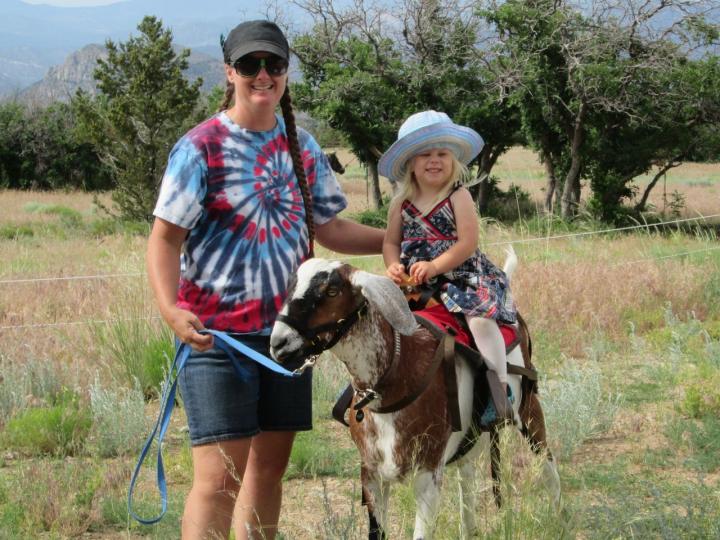 kid ride on pack goat1